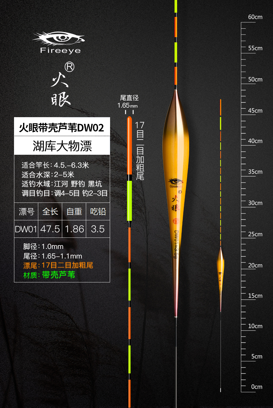 DW01.jpg